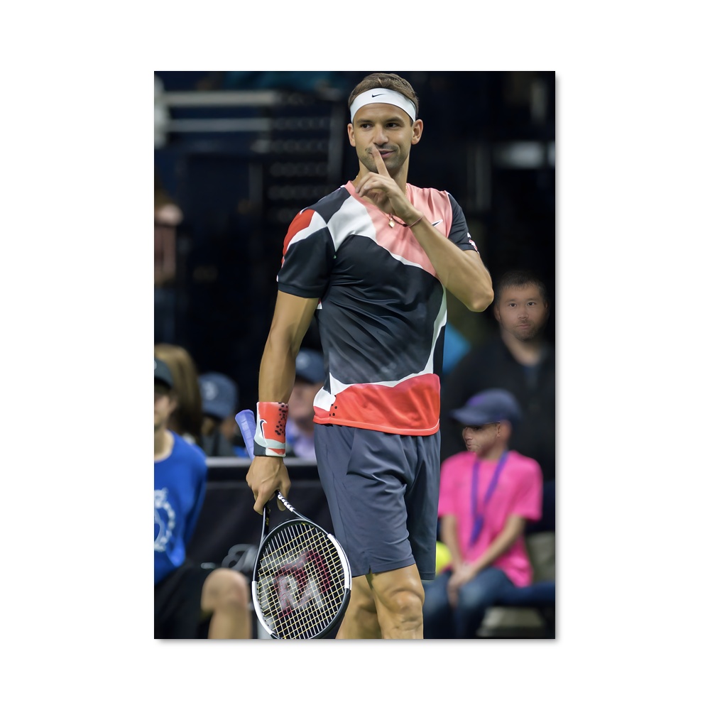 Poster Grigor dimitrov matches